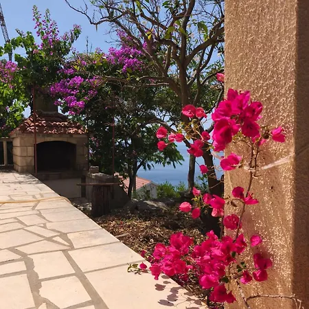Apartment Laus Zavalatica